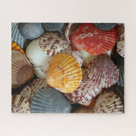 Quebra-cabeça Vibrantes Conchas de Vieira