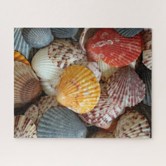 Quebra-cabeça Vibrantes Conchas de Vieira