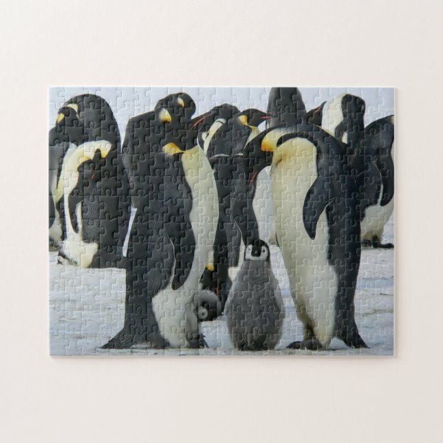 Quebra-cabeça Vida Selvagem Árctica da Família Penguin Adorável (Horizontal)