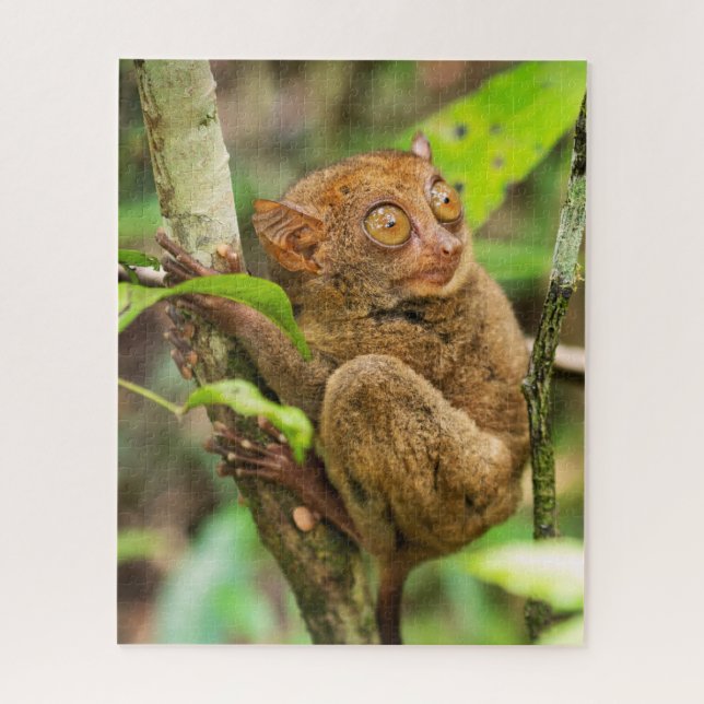 Quebra-cabeça Vida Selvagem do Macaco Tarsio (Vertical)