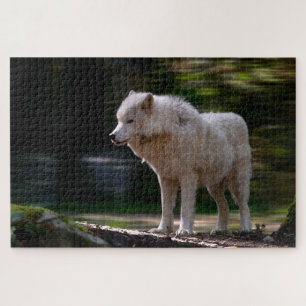 Quebra-cabeça Vida Selvagem Super Difícil do Lobo Branco