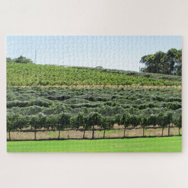 Quebra-cabeça vinhas de uva (Horizontal)