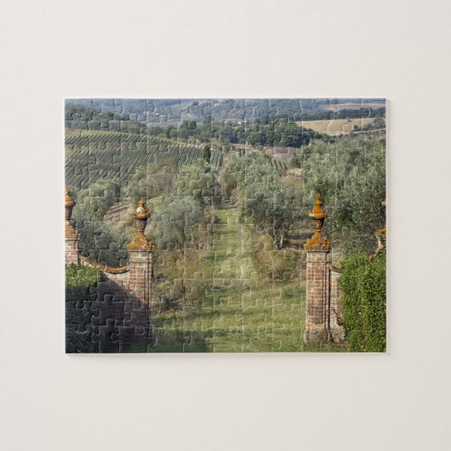 Quebra-cabeça Vinhas, Toscana, Itália (Horizontal)