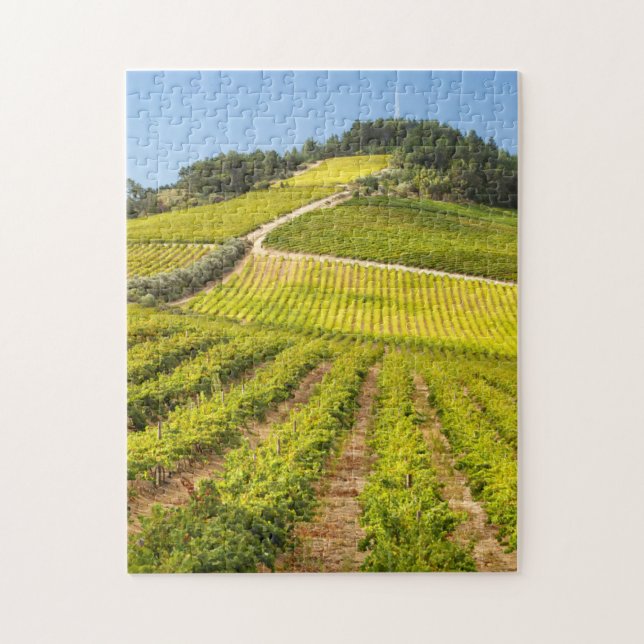 Quebra-cabeça Vinícola, Stellenbosch, Cabo Ocidental (Vertical)