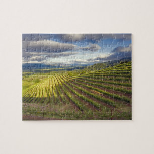 Quebra-cabeça Vinícola. Vale de Napa. Napa. Condado de Napa,