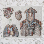 Quebra-cabeça Vintage Anatomy Chest, Órgãos, Olhos<br><div class="desc">Ilustração vinda da saúde humana e desenhos de anatomia com quatro imagens diferentes. O coração humano é um órgão que fornece circulação sanguínea pelo sistema cardíaco. É um dos órgãos mais vitais do corpo humano. O coração divide-se em quatro câmaras principais: átrio esquerdo e direito (átrio singular) e ventrículos direito...</div>