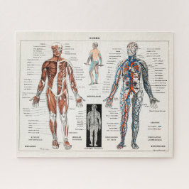 Quebra-cabeça Vintage Antique Medical Anatomy Anatomical Diagram
