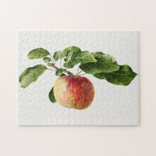 Quebra-cabeça Vintage Apple Fruta Watercolor Painting