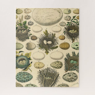 Quebra-cabeça Vintage Bird Nest Art Painting