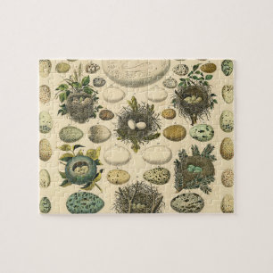 Quebra-cabeça Vintage Bird Nest Art Painting