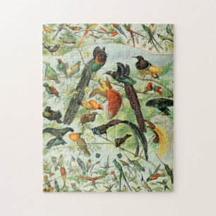 Quebra-cabeça Vintage Birds Antiga Ilustração de Livros