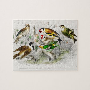 Quebra-cabeça Vintage Birds Antigo Livro Ilustração Arte