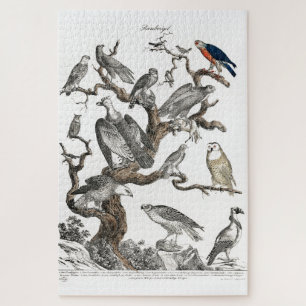 Quebra-cabeça Vintage Birds Antigo Livro Ilustração Arte