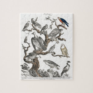 Quebra-cabeça Vintage Birds Antigo Livro Ilustração Arte