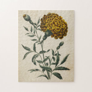 Quebra-cabeça Vintage Botanical Floral African Marigold