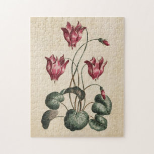 Quebra-cabeça Vintage Botanical Floral Cyclamen
