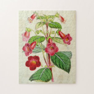Quebra-cabeça Vintage Botanical Hybrid Tydeas
