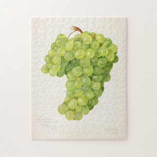 Quebra-cabeça Vintage Bunch of Green Graphics Fruta Painting
