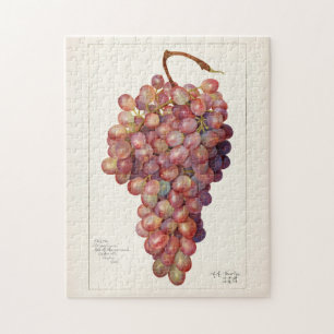 Quebra-cabeça Vintage Bunch of Red Graphics Fruta Painting