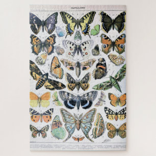 Quebra-cabeça Vintage Butterfly Papillon Antiga Ilustração Arte