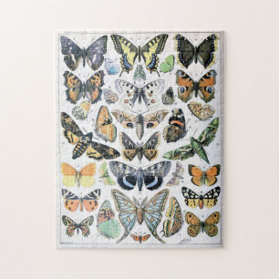 Quebra-cabeça Vintage Butterfly Papillon Antiga Ilustração Arte