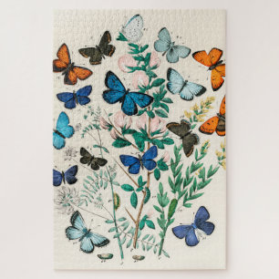 Quebra-cabeça Vintage Butterfly Papillon Antiga Ilustração Arte
