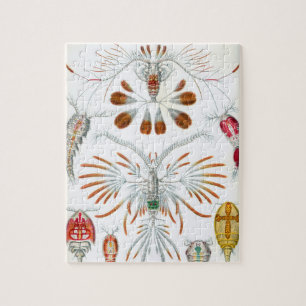Quebra-cabeça Vintage Copepoda Ocean Animal por Ernst Haeckel