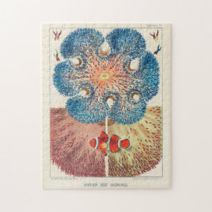 Quebra-cabeça Vintage Excelente Barrier Reef Anemones Carol Fish