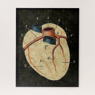 Quebra-cabeça Vintage Human Heart Diagram