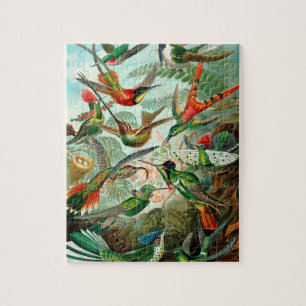 Quebra-cabeça Vintage Hummingbird Ilustração Decorativa Arte