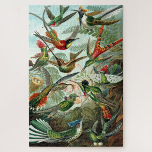 Quebra-cabeça Vintage Hummingbird por Ernst Haeckel