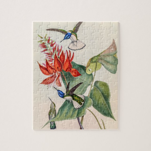Quebra-cabeça Vintage Hummingbird por John Gould (Vertical)