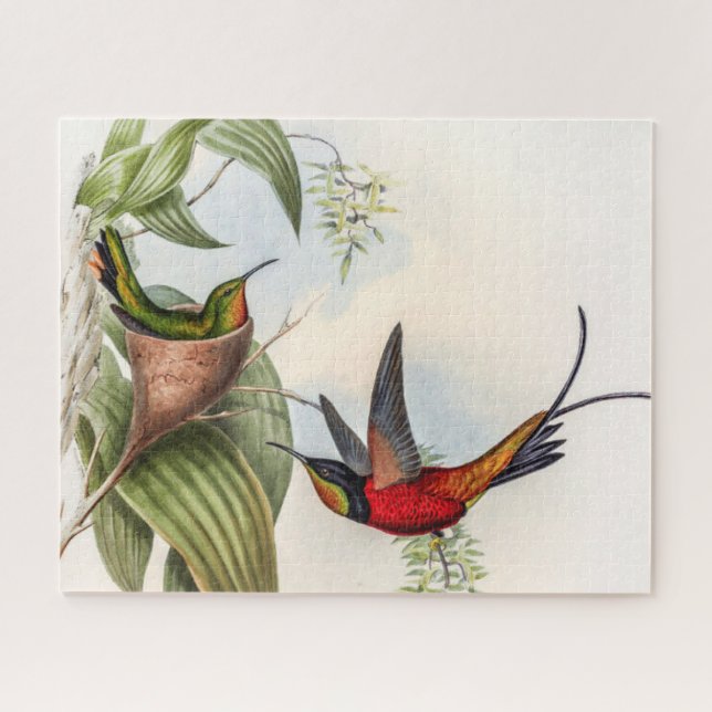 Quebra-cabeça Vintage Hummingbird por John Gould (Horizontal)