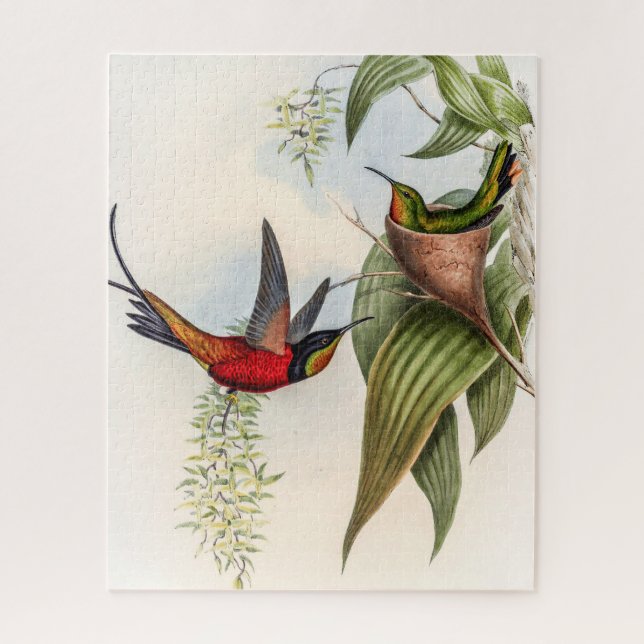 Quebra-cabeça Vintage Hummingbird por John Gould (Vertical)