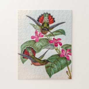 Quebra-cabeça Vintage Hummingbird por John Gould