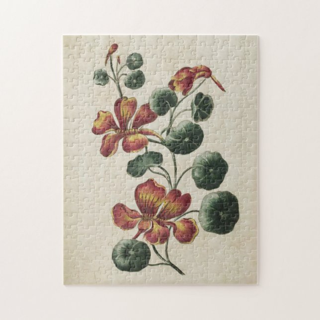 Quebra-cabeça Vintage Nasturtium (Vertical)