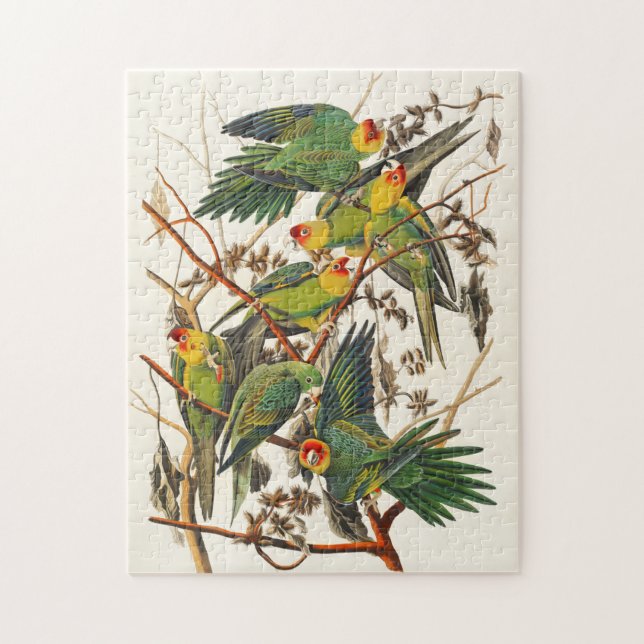 Quebra-cabeça Vintage Parrots Ilustração Bird Lover Gift (Vertical)
