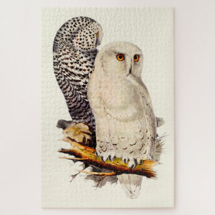 Quebra-cabeça Vintage Snowy Owl Drawing