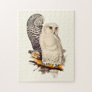 Quebra-cabeça Vintage Snowy Owl Drawing