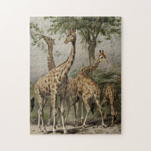 Quebra-cabeça Vintage South African Giraffes