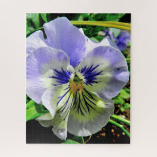 QUEBRA-CABEÇA VIOLET PANSY