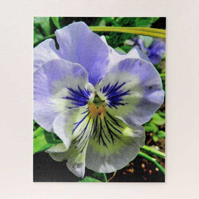 QUEBRA-CABEÇA VIOLET PANSY (Vertical)