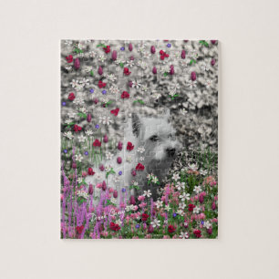Quebra-cabeça Violeta nas flores - cão branco de Westie