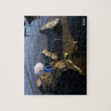 Vissende Fubby op een steen.