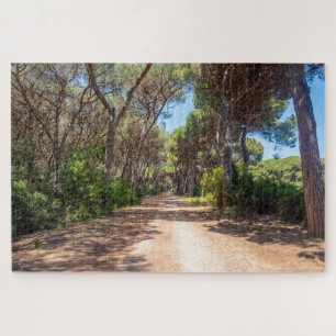 Quebra-cabeça Vista cênica das florestas naturais, Toscana, Itál