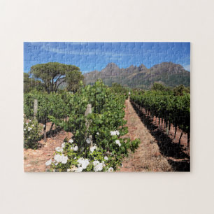 Quebra-cabeça Vista das Vinhas. Stellenbosch
