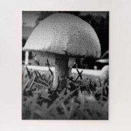 Quebra-cabeça Vista de Olho de Inseto