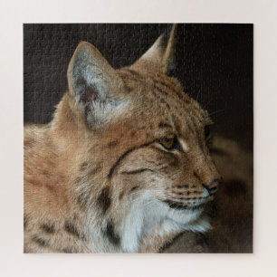 Quebra-cabeça Vista Intensa: Fechamento de um Lynx