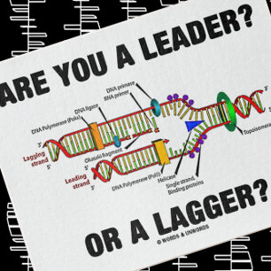 Quebra-cabeça Você É Líder? Ou Um Lagger? Geek DNA Humor