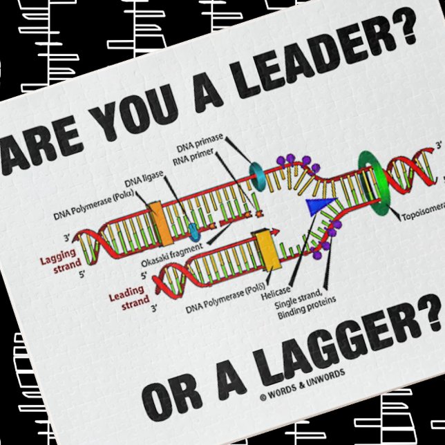 Quebra-cabeça Você É Líder? Ou Um Lagger? Geek DNA Humor (Solve this jigsaw puzzle with a dose of DNA/molecular biology attitude)